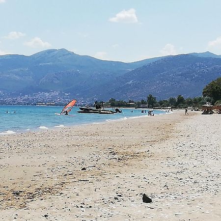 Marathon Beachside Villa 100M From The Beach Schinias Esterno foto